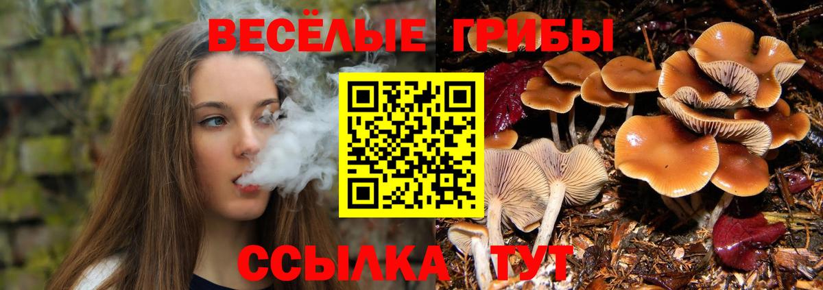 Псилоцибиновые грибы GOLDEN TEACHER Тулун