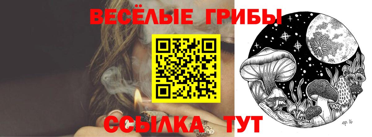 Тулун  Псилоцибиновые грибы Magic Shrooms  Псилоцибиновые грибы GOLDEN TEACHER  Вход с VPN 